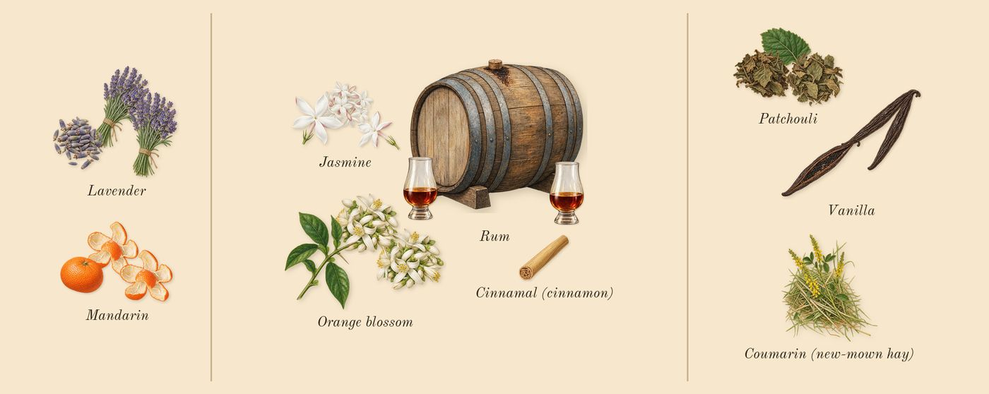 Libre Vanille Couture’s scent picture, a draft: lavender, orange blossom, vanilla, rum, mandarin, jasmine drawn so far; dashed outlines where nothing is drawn yet