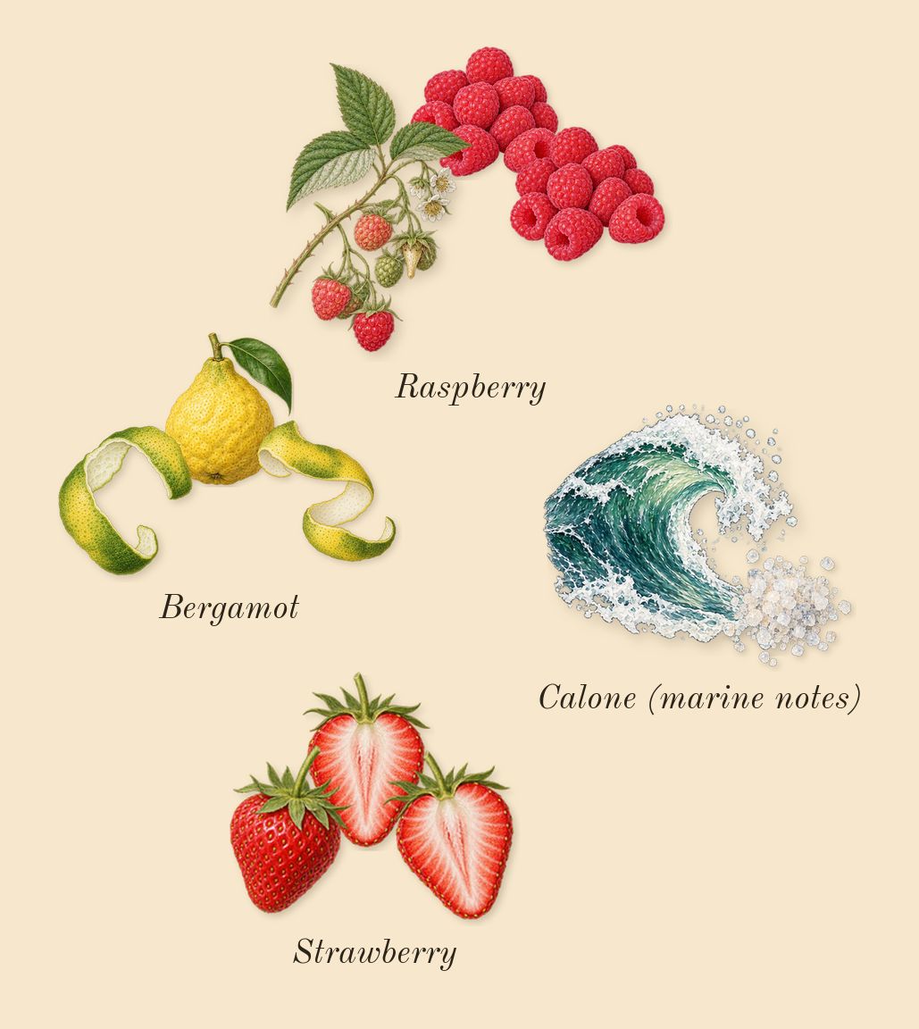 Mon Paris, top notes: Strawberry, Raspberry, Bergamot, Calone (marine notes)
