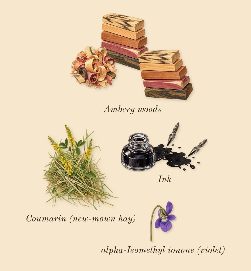 Muse, dry-down: Ink, Ambery woods, Coumarin (new-mown hay), alpha-Isomethyl ionone (violet)