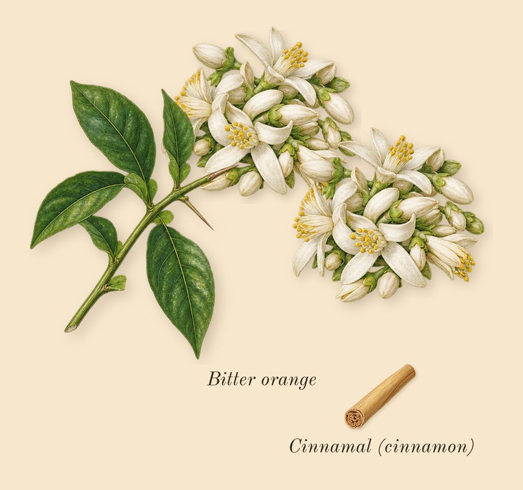 MYSLF, heart: Bitter orange, Cinnamal (cinnamon)