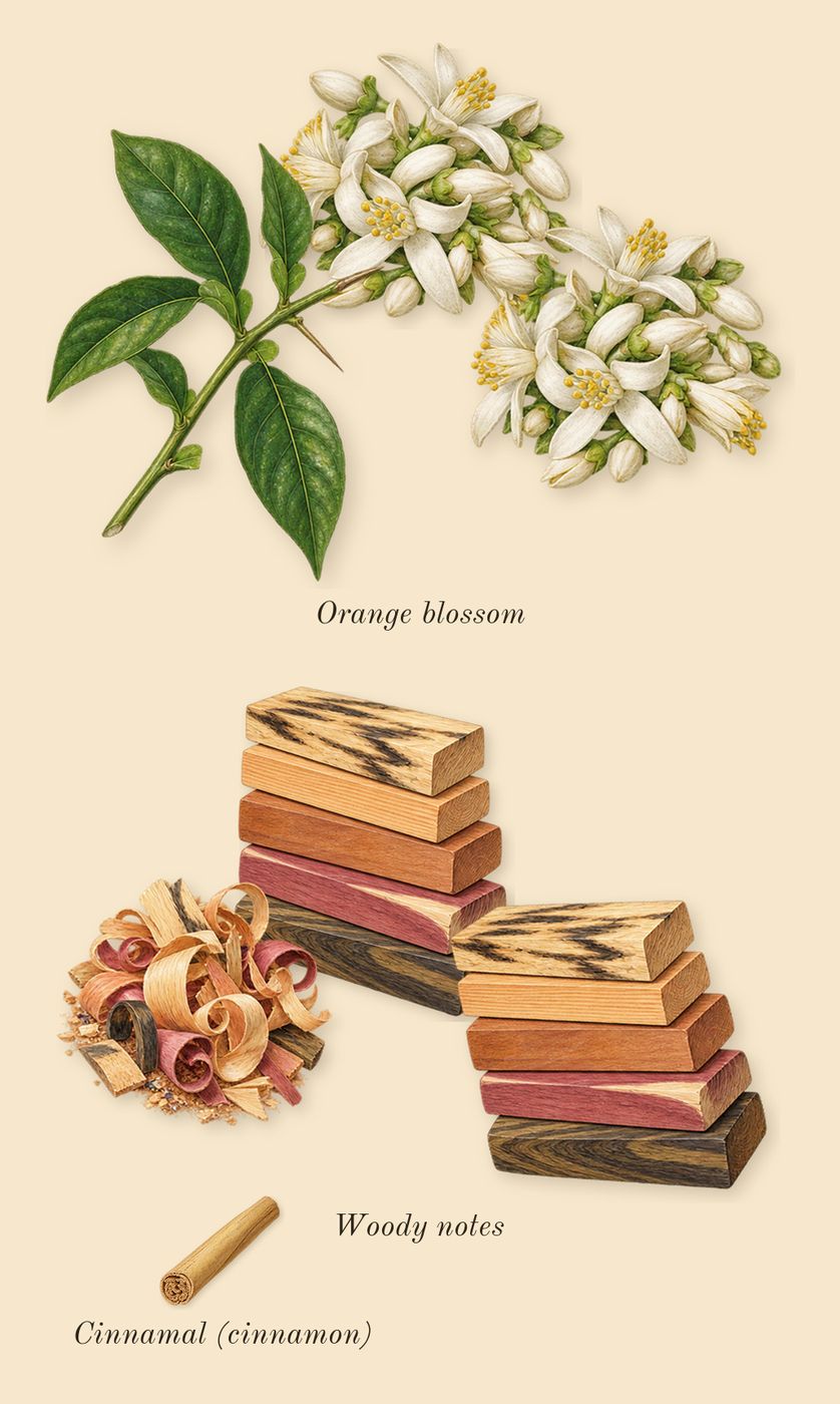 MYSLF Intense, heart: Orange blossom, Woody notes, Cinnamal (cinnamon)
