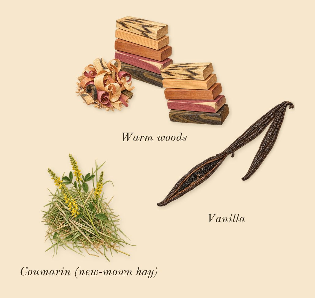 MYSLF Le Parfum, dry-down: Warm woods, Vanilla, Coumarin (new-mown hay)