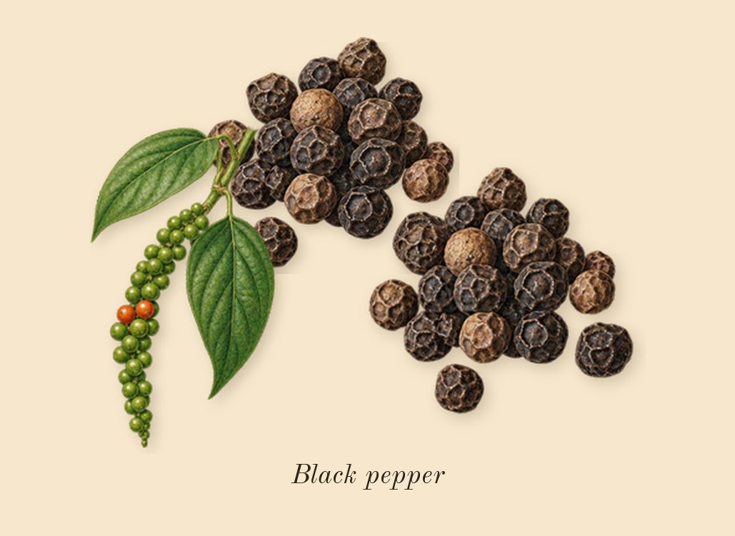 MYSLF Le Parfum, top notes: Black pepper