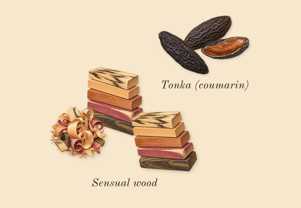 Y, dry-down: Sensual wood, Tonka (coumarin)