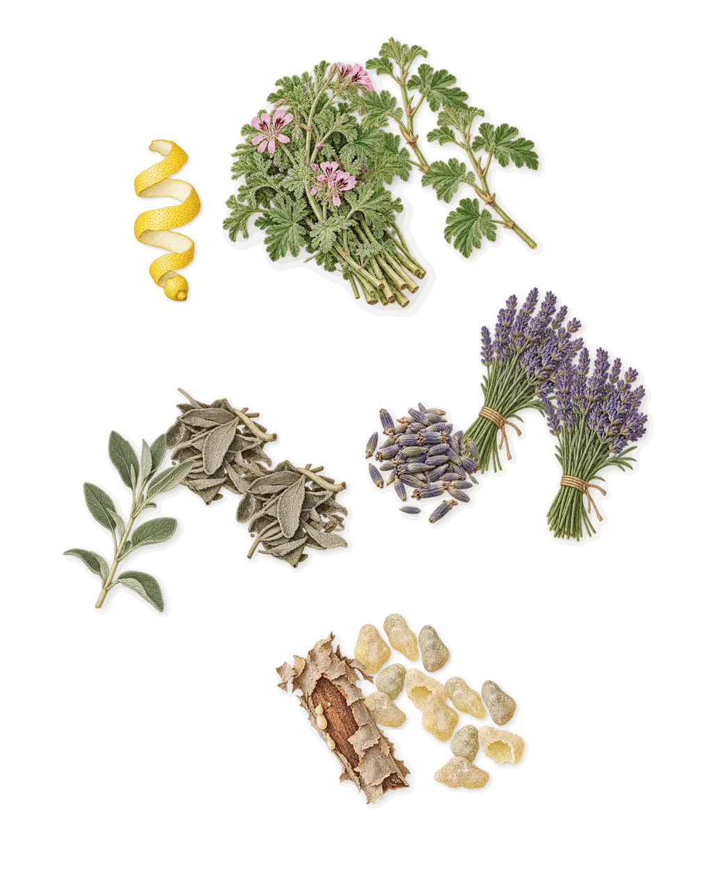 Y, when you spray it: Sage, Lavender, Geranium, Frankincense, Citral (lemon)