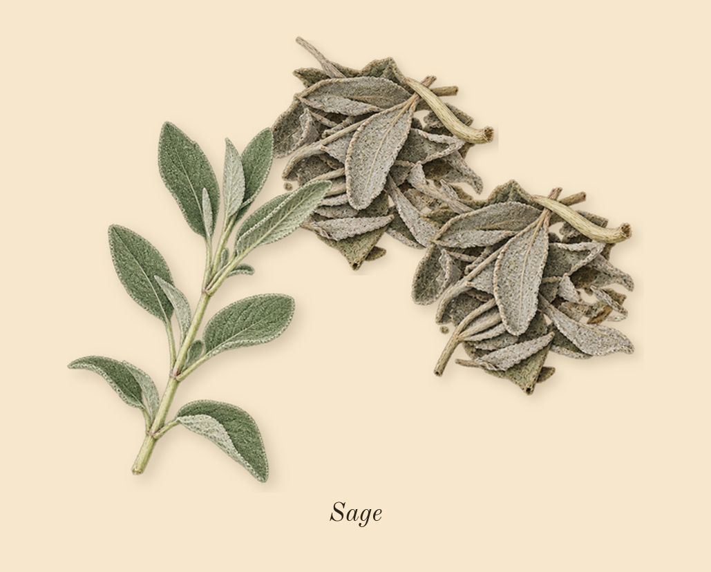 Y Iced Cologne, heart: Sage