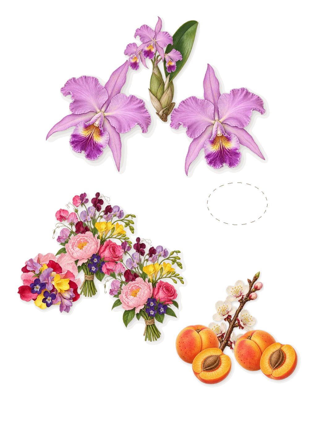 Pink Molécule 090.09, when you spray it: Floral notes, Apricot, Orchid, Pink molécules