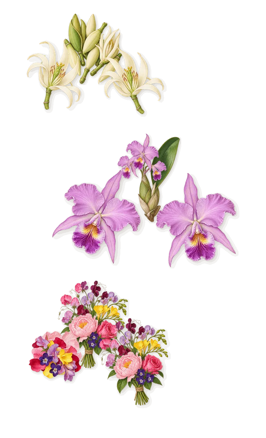 Purple Molécule 070.07, when you spray it: Floral notes, Orchid, Magnolia