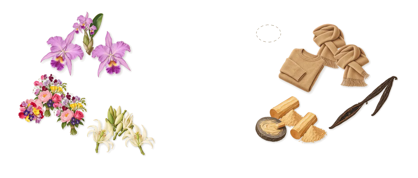 Purple Molécule 070.07’s scent picture, a draft: floral notes, orchid, magnolia, vanilla, sandalwood, silver musk drawn so far; dashed outlines where nothing is drawn yet