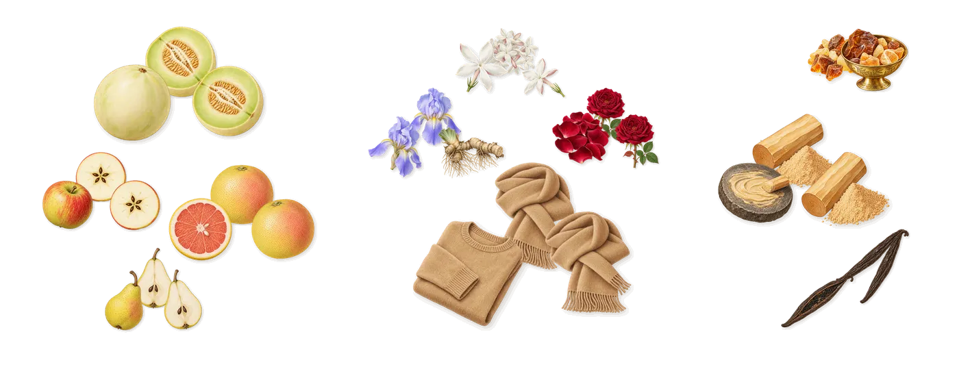 The Muse Breeze’s scent picture, a draft: grapefruit, pear, apple, melon, jasmine, musk drawn so far; dashed outlines where nothing is drawn yet