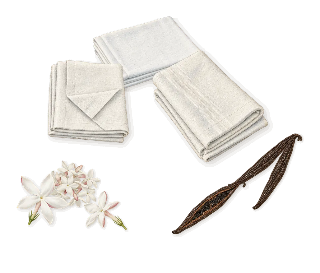 The Muse Velvet Vanilla, as it settles: Vanilla, Jasmine, White musk