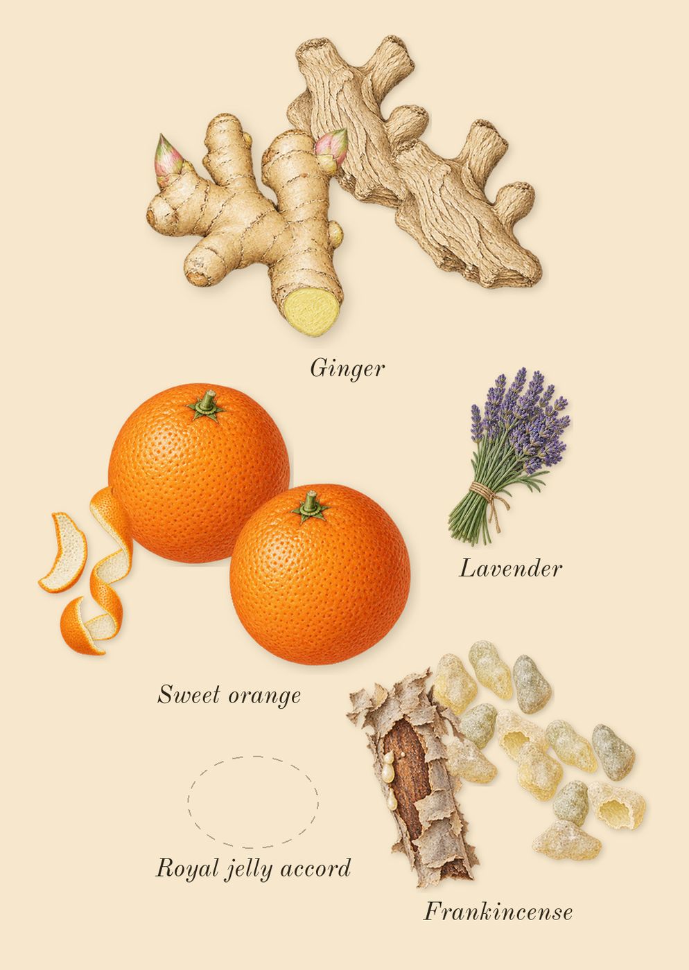 Bee, top notes: Sweet orange, Ginger, Royal jelly accord, Frankincense, Lavender