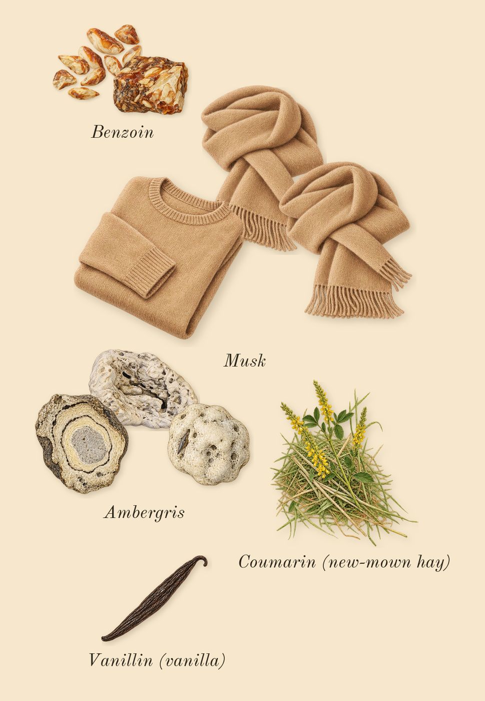 Squid, dry-down: Ambergris, Benzoin, Musk, Vanillin (vanilla), Coumarin (new-mown hay)