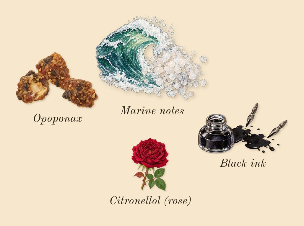 Squid, heart: Black ink, Marine notes, Opoponax, Citronellol (rose)