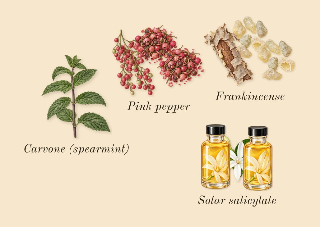 Squid, top notes: Pink pepper, Solar salicylate, Frankincense, Carvone (spearmint)